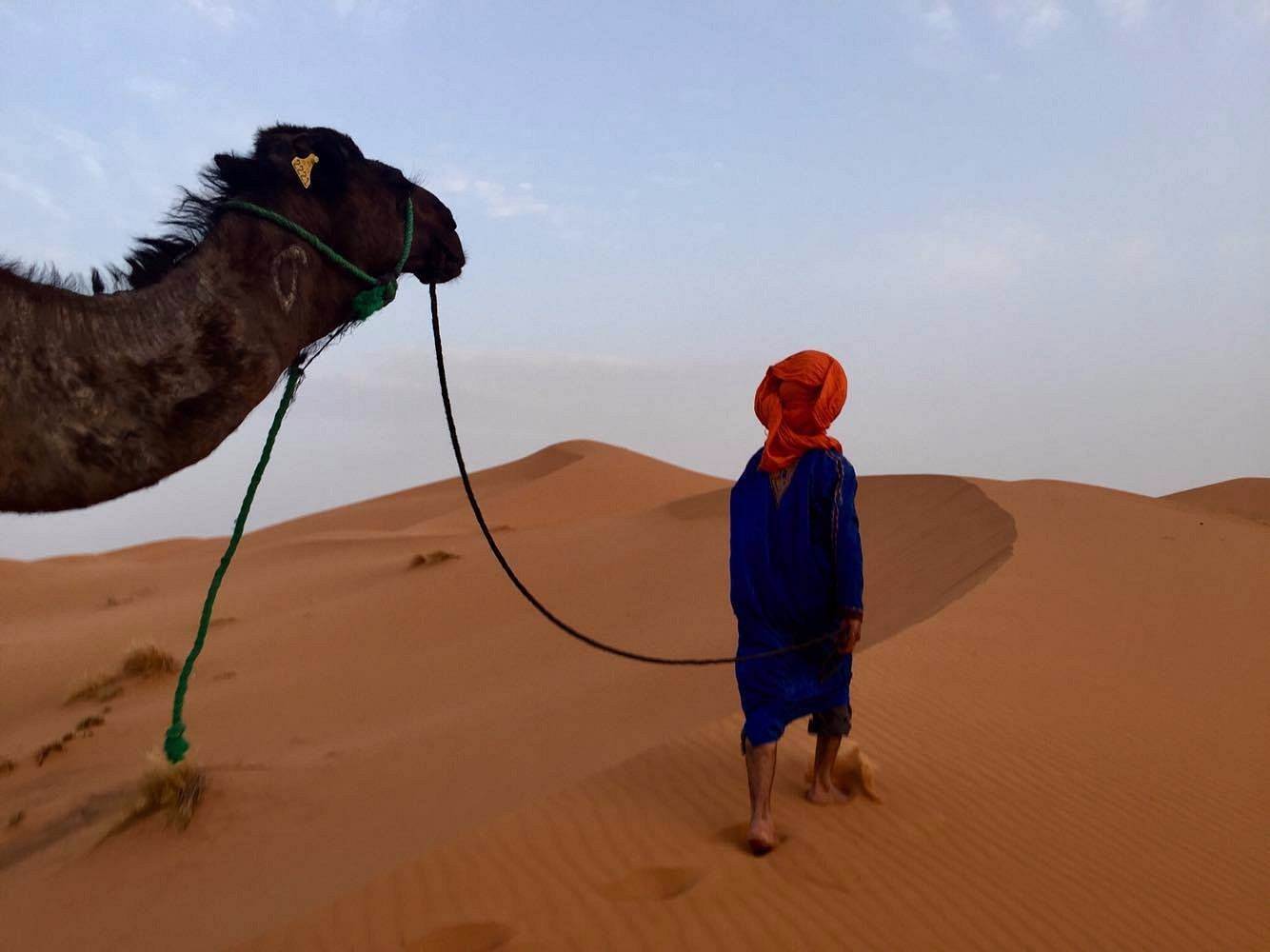 Camel caravan crossing the Sahara dunes